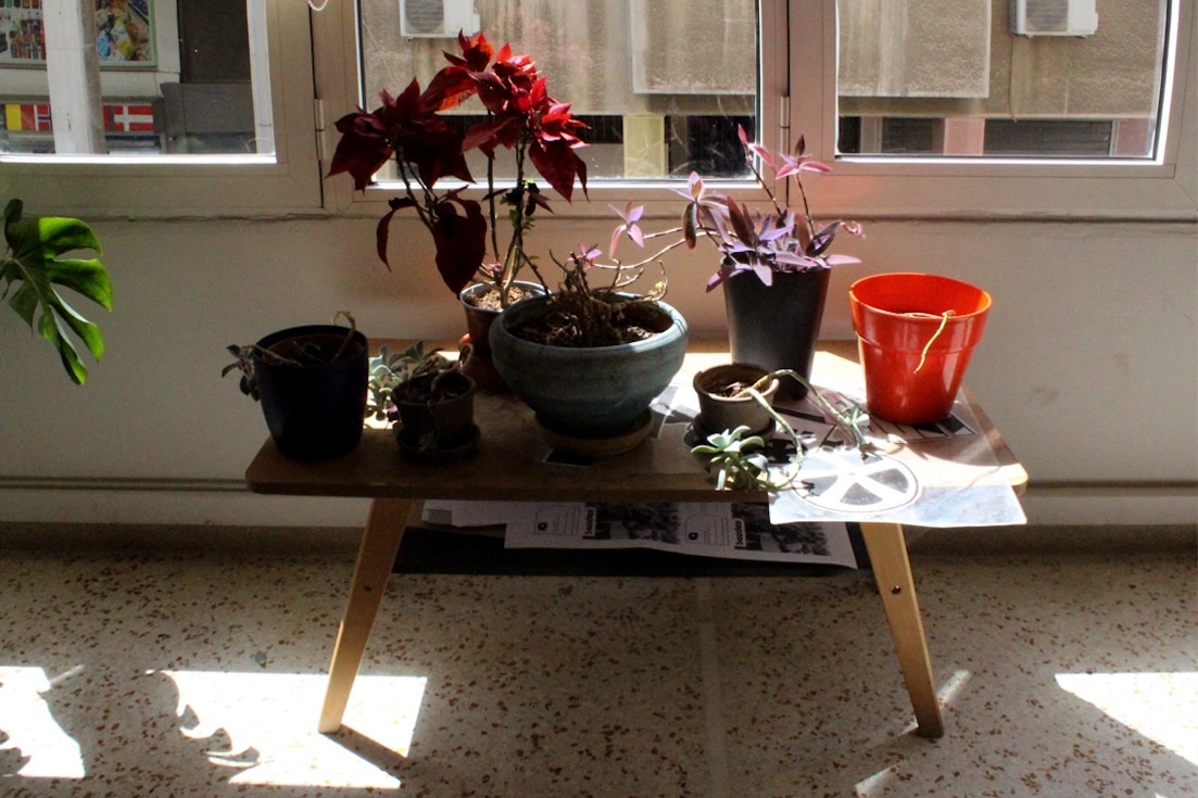 close up shot of a table in the room